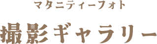 マタニティーフォト撮影ギャラリー
